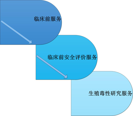 AG真人国际(中国)官方官网临床前服务中的生殖毒性服务