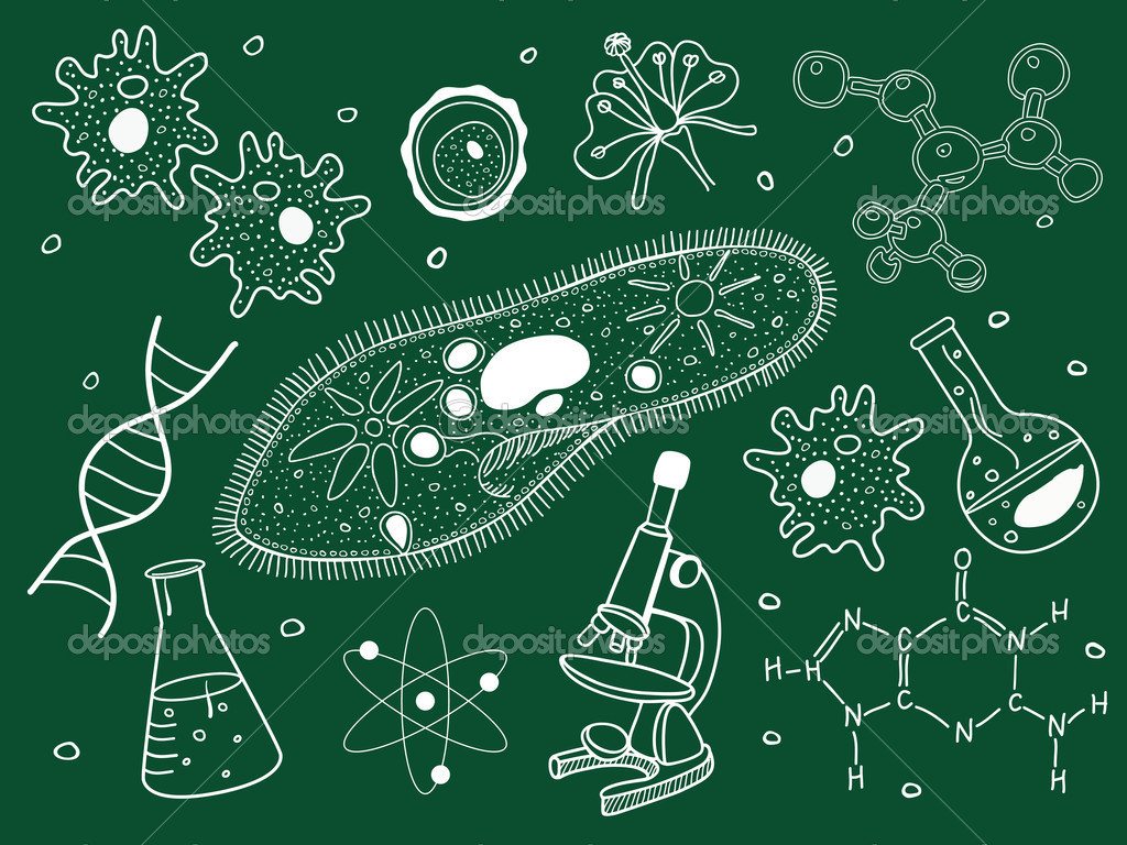 Nature：科学家找到杀死抗药细菌的新靶点