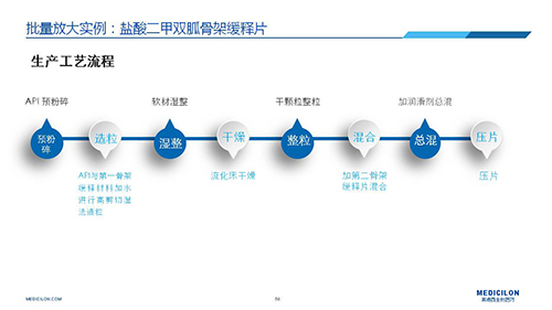 AG真人国际(中国)官方官网 变更参比制剂 李国栋博士演讲PPT