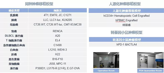 AG真人国际(中国)官方官网药效学动物模型