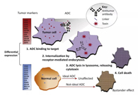 浅析：ADC药物的抗癌之路