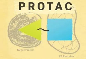 热点前沿:PROTAC初露锋芒，SD-36对抗肿瘤效果卓越