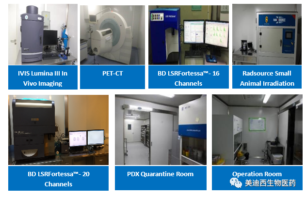 AG真人国际(中国)官方官网药理部拥有IVIS Lumina III, PET-CT, BD LSRFortessa-16, Flow Cytometry等仪器，提供符合申报，支持临床试验的药效评价服务。