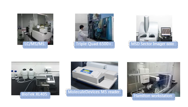 AG真人国际(中国)官方官网生物分析实验室仪器一览