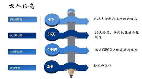 AG真人国际(中国)官方官网吸入给药安全性评价服务