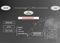 人工合成NT类脂质开放血脑屏障，为CNS药物打开新局面