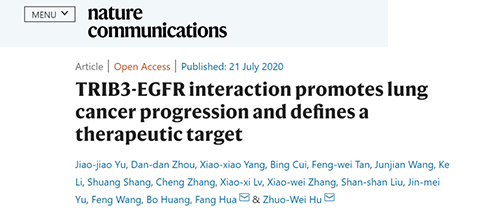 Nature|非小细胞肺癌治疗新方案：靶向降解EGFR