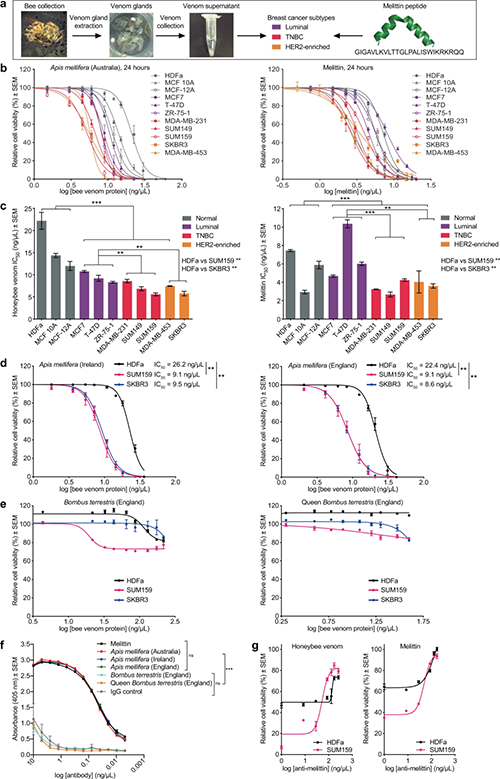 蜜蜂毒液和蜂毒肽可特异性降低乳腺癌细胞的生存能力