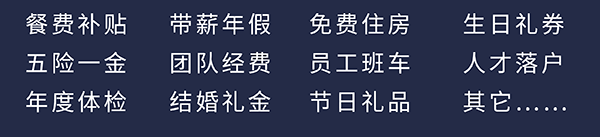 AG真人国际(中国)官方官网员工福利：餐费补贴、五险一金、年度体检、带薪年假、团队经费、结婚礼金、免费住房、员工班车、节日礼品、生日礼券、人才落户、其它……