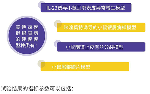 AG真人国际(中国)官方官网模拟银屑病的建模模型种类