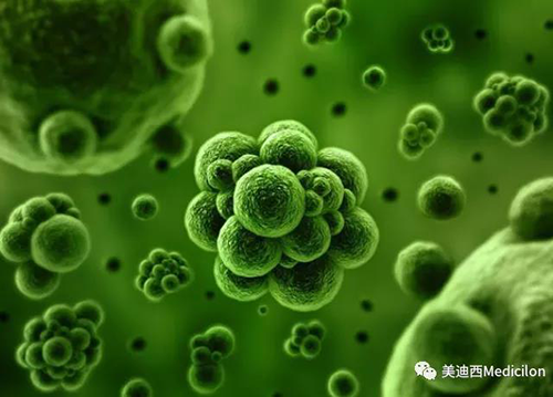 1分钟，全中国就有7.5人被确诊为患癌 AG真人国际(中国)官方官网生物医药