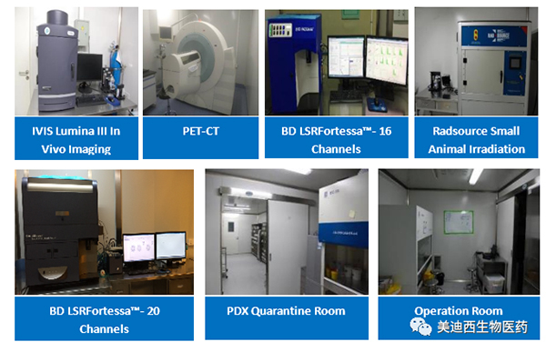 AG真人国际(中国)官方官网药理部拥有IVIS Lumina III, PET-CT, BD LSRFortessa-16，Flow Cytometry等仪器