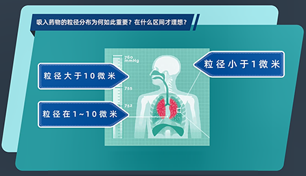 吸入药物的粒径分布为何如此重要？在什么区间才理想？