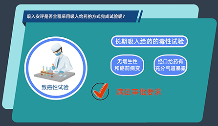 吸入安评是否全程采用吸入给药的方式完成试验呢？