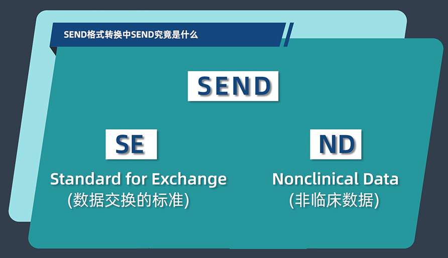 SEND格式转换中的SEND究竟是什么？