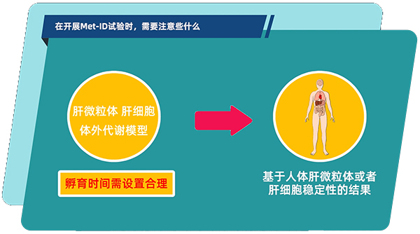 肝微粒体、肝细胞体外代谢模型中，孵育时间需设置合理.jpg