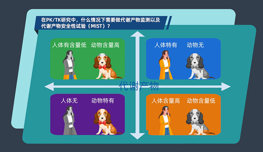 在PK-TK研究中，什么情况下需要做代谢产物监测以及代谢产物安全性试验（MIST）