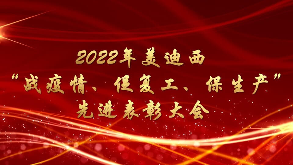 AG真人国际(中国)官方官网召开“战疫情、促复工、保生产”先进表彰大会