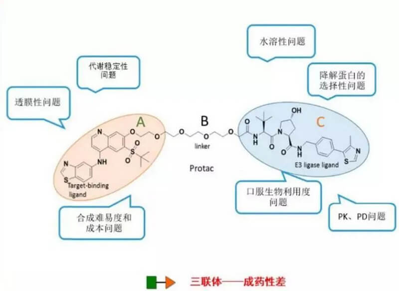 PROTAC分子量较大，溶解性较差.jpg