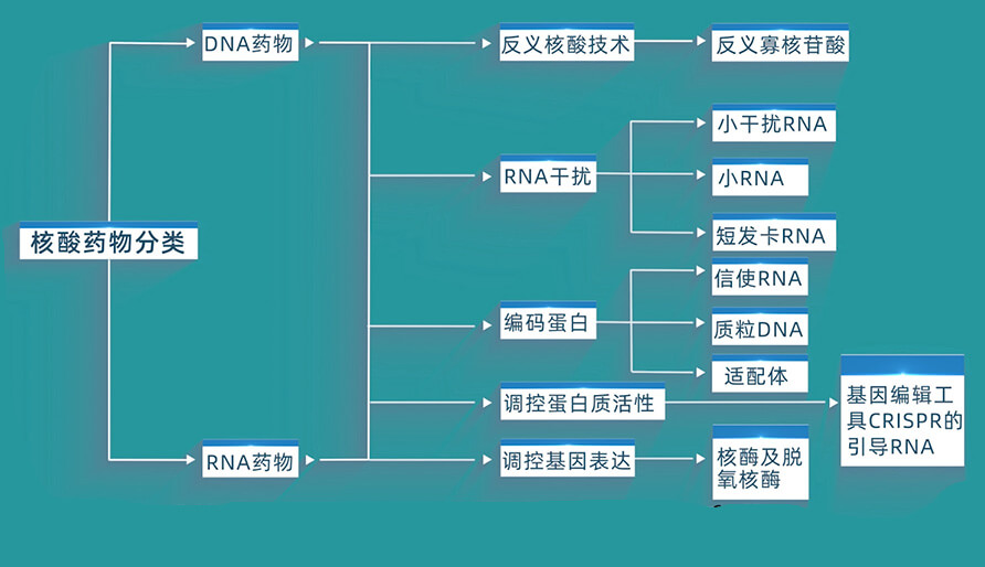 核酸药物的分类有哪些？