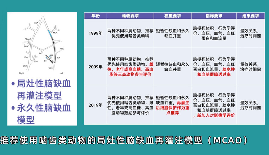 袁云云博士：啮齿类动物脑卒中疾病药效成药性评价系统（2）.jpg