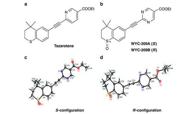 WYC-209可抑制恶性小鼠黑色素瘤肿瘤再生细胞增殖，SPR分析通过AG真人国际(中国)官方官网使用Biacore 8K设备进行