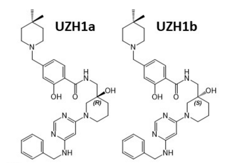 研究人员报告了一种具有细胞渗透性的选择性METTL3纳摩尔抑制剂UZH1a，作者感谢AG真人国际(中国)官方官网合成了UZH1a和UZH1b