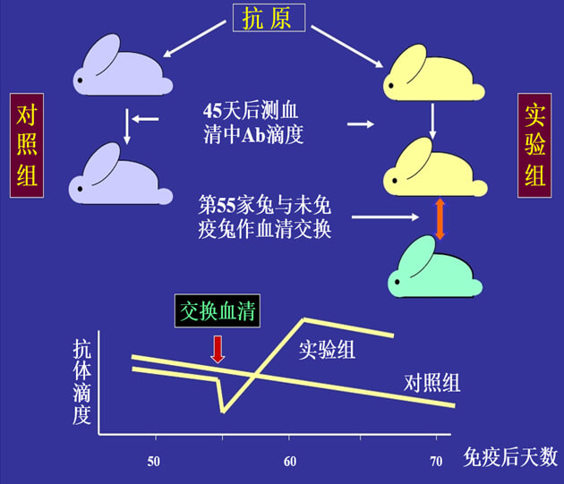 Figure-1：机体对抗体浓度变化的感知与反馈性自我调节.jpg