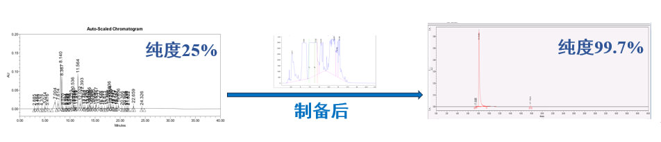 案例一：仿制药发补：大极性杂质制备.jpg