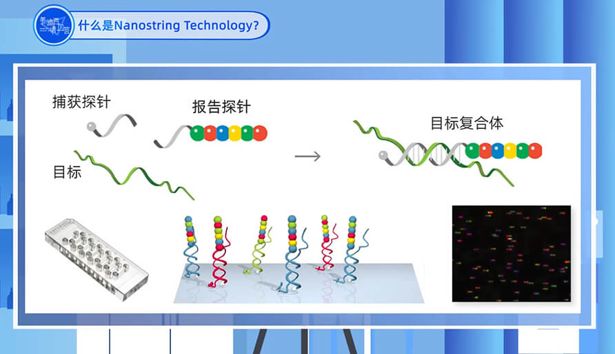 什么是Nanostring 技术？