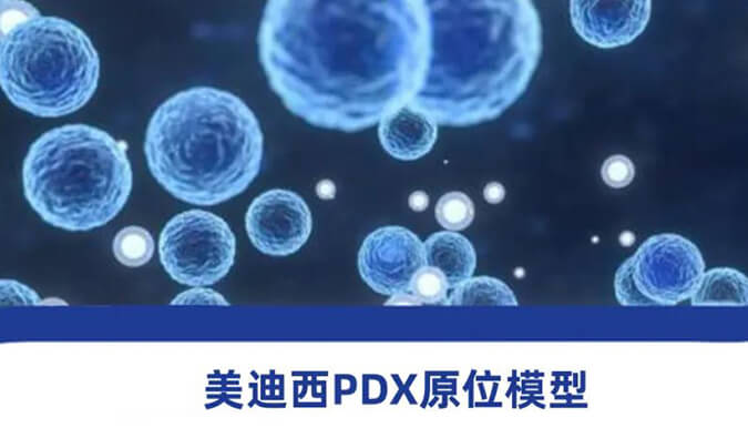 AG真人国际(中国)官方官网118种PDX原位模型，助力肿瘤药物研发